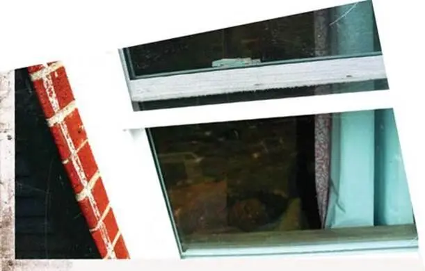 Rose was sound asleep which was sweet for me to watch through her back window - фото 65