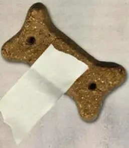 Dear haiku journal I now keep in my pocket milk bone treats for me I knew - фото 69