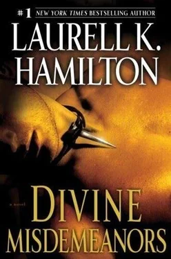 Laurell Hamilton Delitos Menores обложка книги