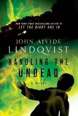 John Lindqvist Handling The Undead обложка книги