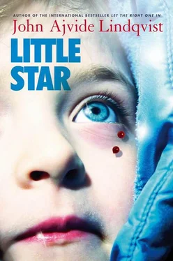 John Lindqvist Little Star обложка книги