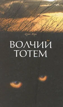 Жун Цзян Волчий тотем обложка книги