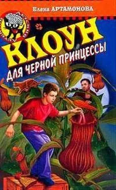 Елена Артамонова Клоун для черной принцессы обложка книги