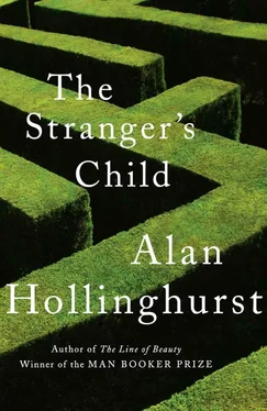 Alan Hollinghurst The Stranger’s Child обложка книги