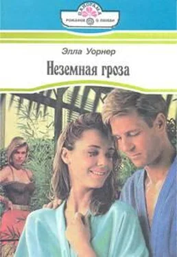 Элла Уорнер Неземная гроза обложка книги