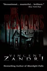 Vincent Zandri - The remains