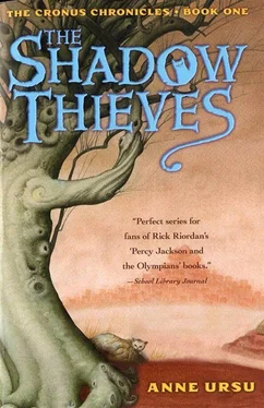 Anne Ursu The Shadow Thieves обложка книги