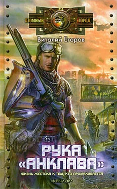Василий Егоров Рука «Анклава» обложка книги