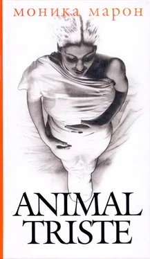 Моника Марон Animal triste обложка книги