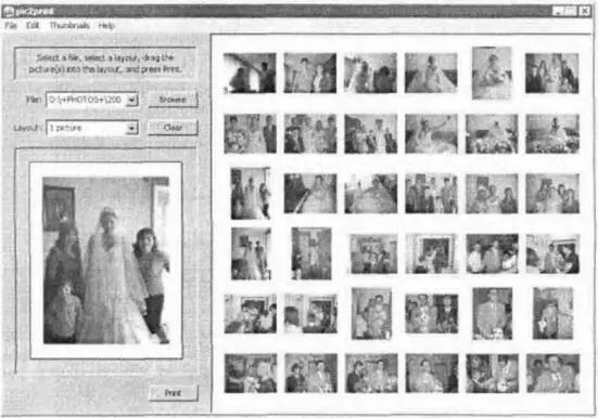 Рис 85Окно программы Pic2Print Чтобы распечатать требуемые фотографии - фото 75
