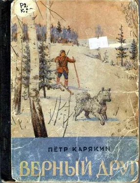 Петр Карякин Верный друг обложка книги