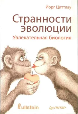 Йорг Циттлау Странности эволюции. Увлекательная биология обложка книги