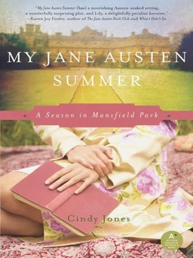 Cindy Jones My Jane Austen Summer: A Season in Mansfield Park обложка книги