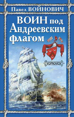 Павел Войнович Воин под Андреевским флагом обложка книги