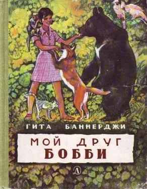 Гита Баннерджи Мой друг Бобби обложка книги