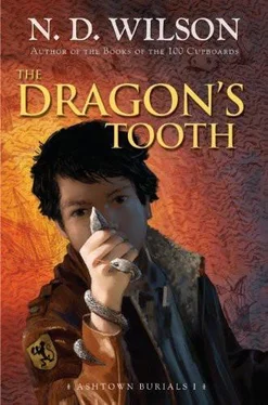 N. Wilson The Dragon's Tooth обложка книги