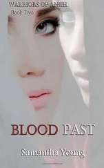 Samantha Young - Blood Past