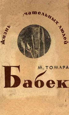 М. Томара Бабек обложка книги