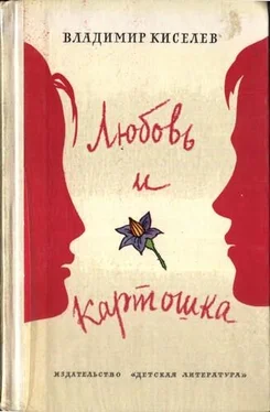 Владимир Киселев Любовь и картошка обложка книги