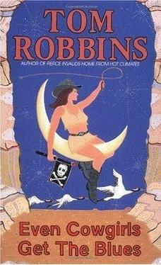 Tom Robbins También Las Vaqueras Sienten Melancolía обложка книги