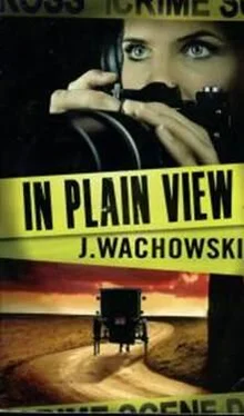 J. Wachowski In Plain View обложка книги