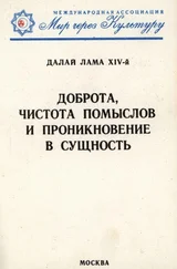 Тензин Гьяцо - Доброта, чистота помыслов и проникновение в сущность
