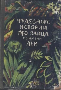 Неизвестный Автор Чудесные истории про зайца по имени Лёк обложка книги