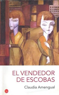 Claudia Amengual El vendedor de escobas обложка книги