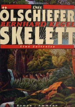 Bernhard Kegel Das Olschieferskelett. Eine Zeitreise обложка книги