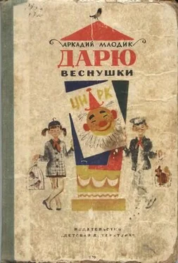 Аркадий Млодик Дарю веснушки обложка книги