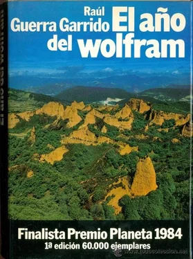 Raúl Garrido El Año Del Wolfram обложка книги