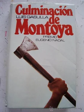 Luis Gasulla Culminacion De Montoya обложка книги