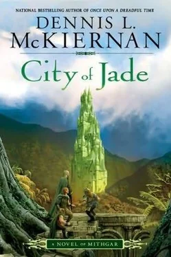 Dennis McKiernan City of Jade обложка книги