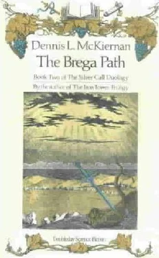 Dennis McKiernan The Brega path обложка книги