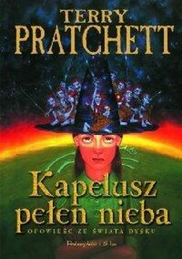 Terry Pratchett Kapelusz pełen nieba обложка книги