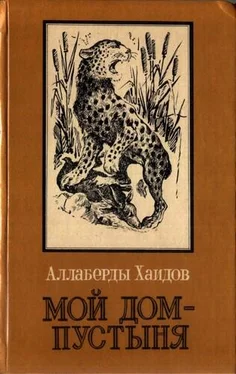 Аллаверды Хаидов Мой дом - пустыня обложка книги