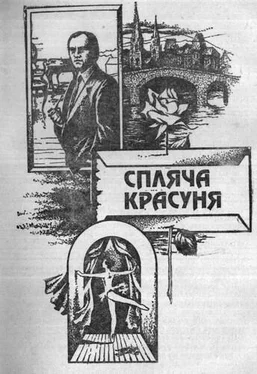 Андрей Гуляшки Спляча красуня обложка книги