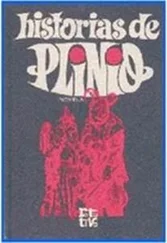 Francisco Pavón - Historias de Plinio