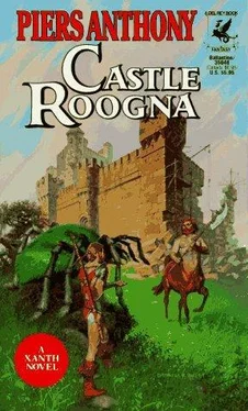 Piers Anthony Castle Roogna обложка книги