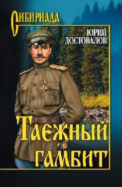 Юрий Достовалов Таежный гамбит обложка книги