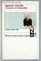 Ignacio Carrión - Cruzar el Danubio