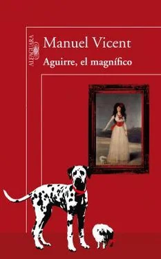 Manuel Vicent Aguirre, el magnífico обложка книги