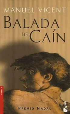 Manuel Vicent Balada De Caín обложка книги