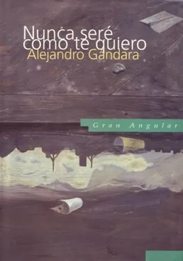 Alejandro Gándara Nunca Sere Como Te Quiero обложка книги