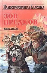 Джек Лондон - Зов предков