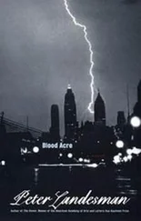 Peter Landesman - Blood Acre