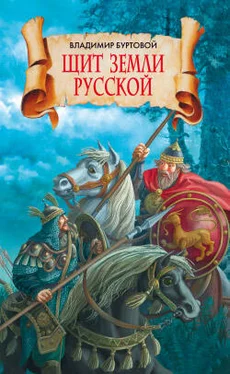 Владимир Буртовой Щит земли русской обложка книги