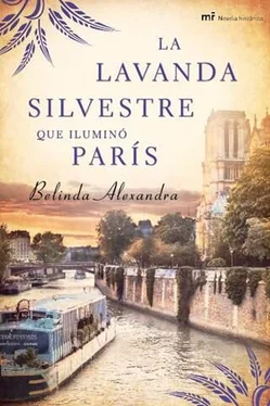 Belinda Alexandra La lavanda silvestre que iluminó París обложка книги