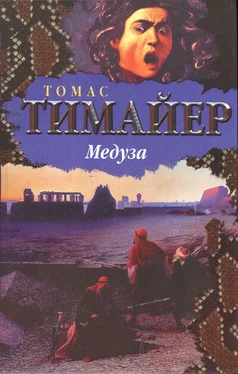 Томас Тимайер Медуза обложка книги