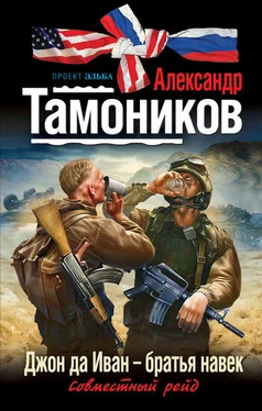 Александр Тамоников Джон да Иван – братья навек обложка книги